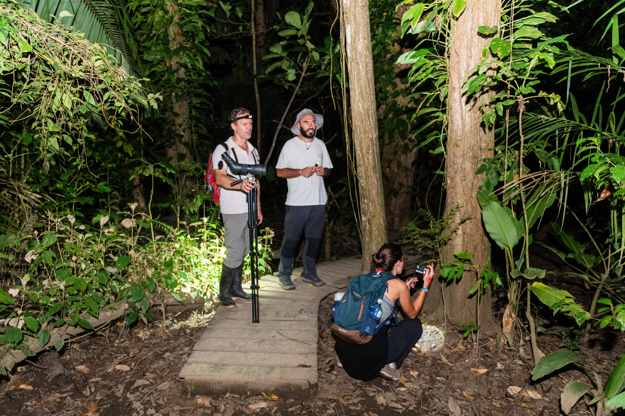 Guided night tour with Simbiótica Adventures in the Osa Peninsula rainforest, Costa Rica