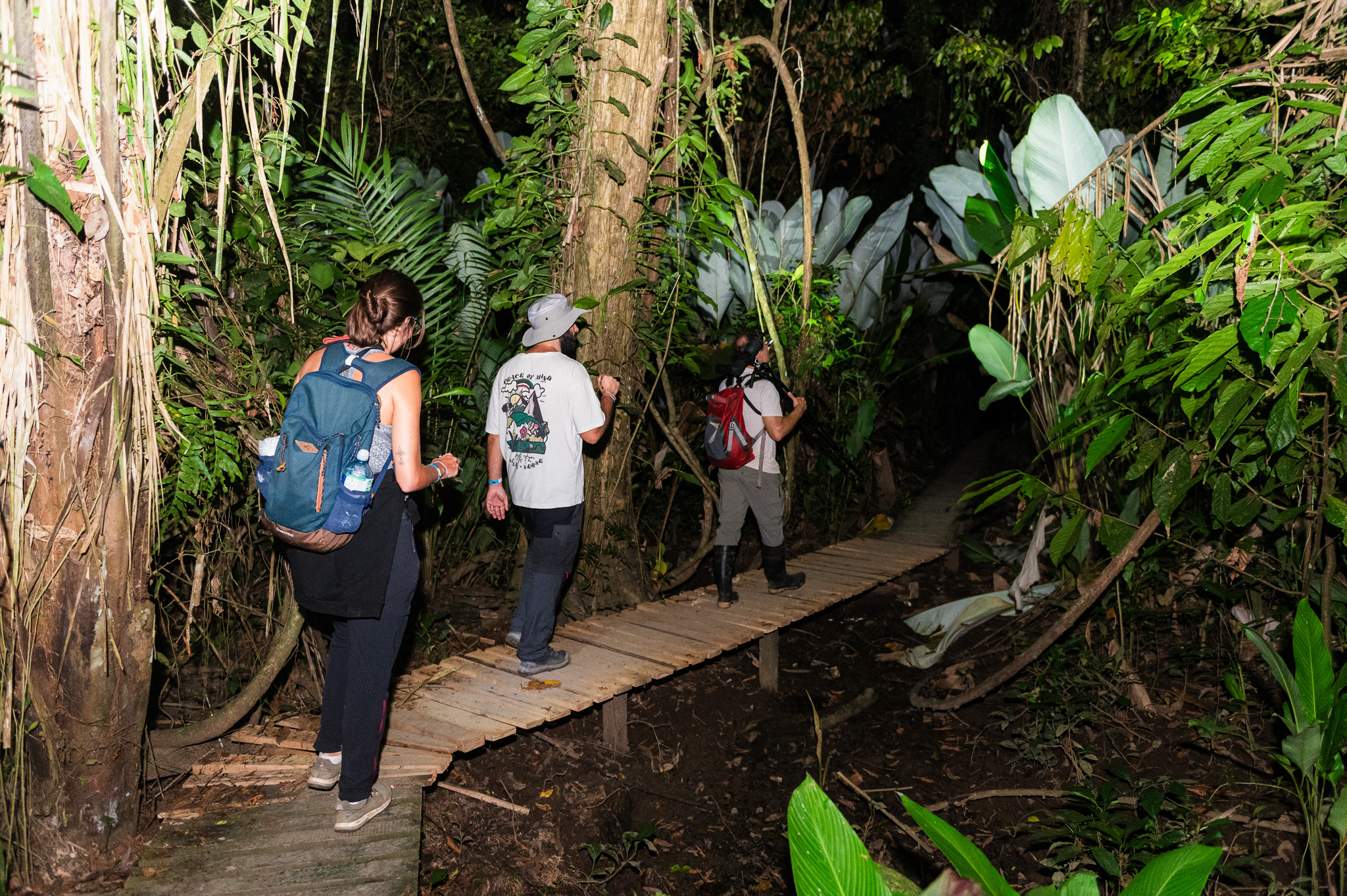 Exploring the rainforest after dark on a guided night walk - Osa Peninsula, Costa Rica