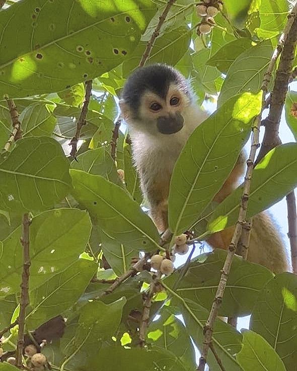 WhatsApp Image 2025-05-21 at 11.11.57 AM