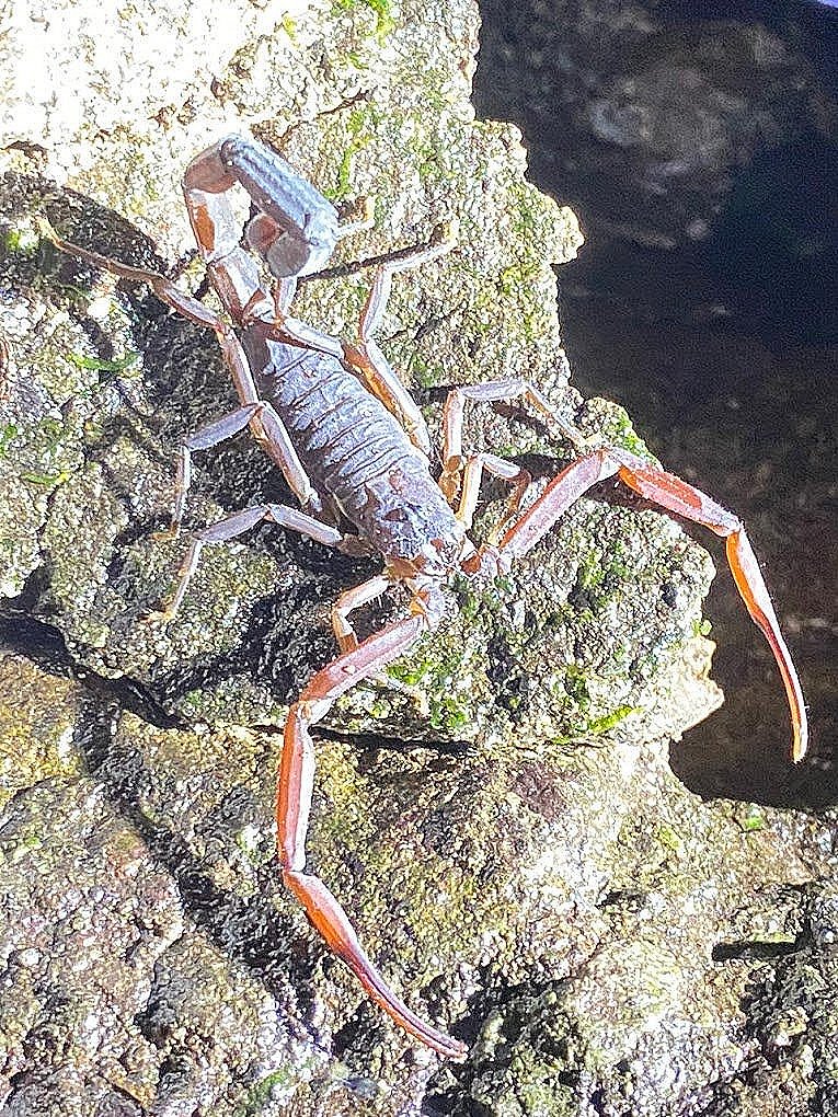 WhatsApp Image 2023-10-10 at 8.09.45 PM