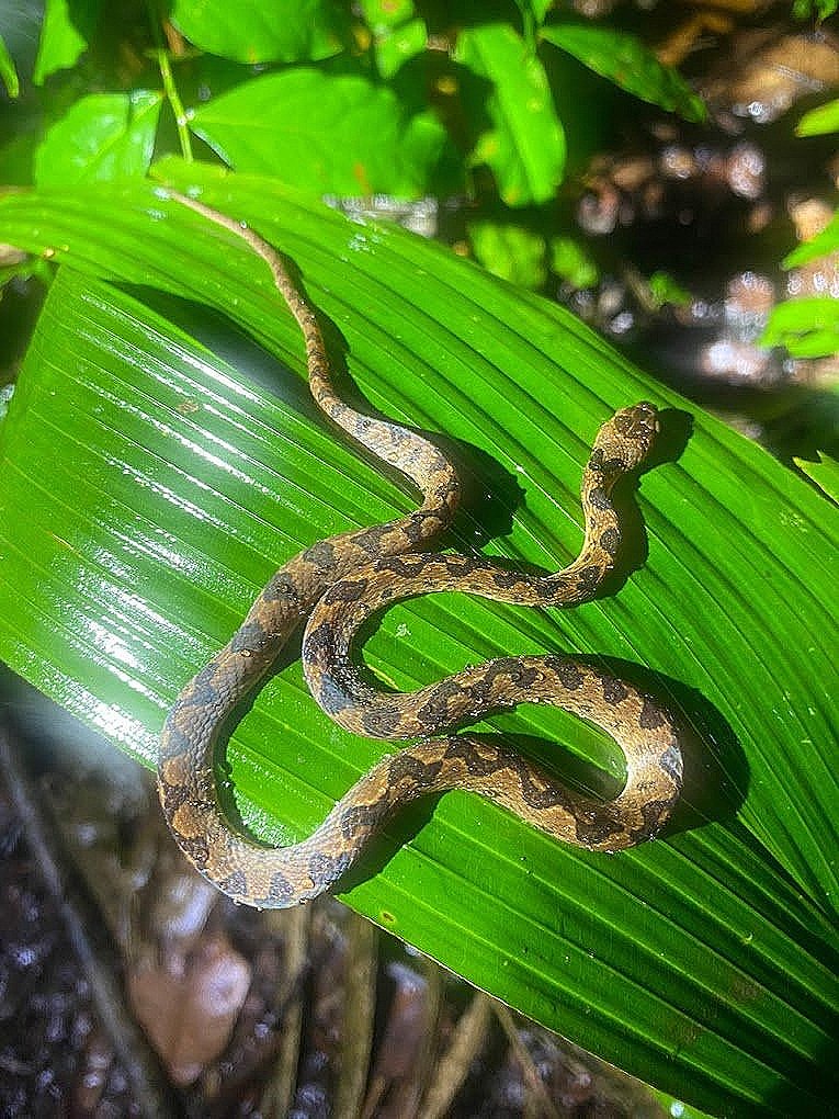 WhatsApp Image 2023-10-10 at 8.09.49 PM (2)