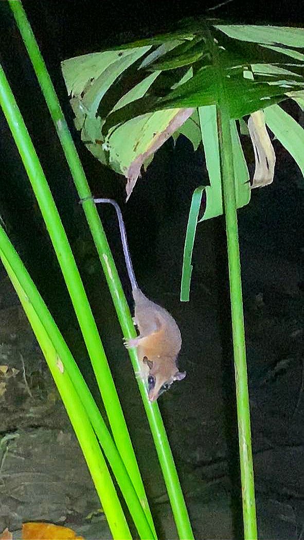 WhatsApp Image 2024-09-13 at 11.20.57 PM