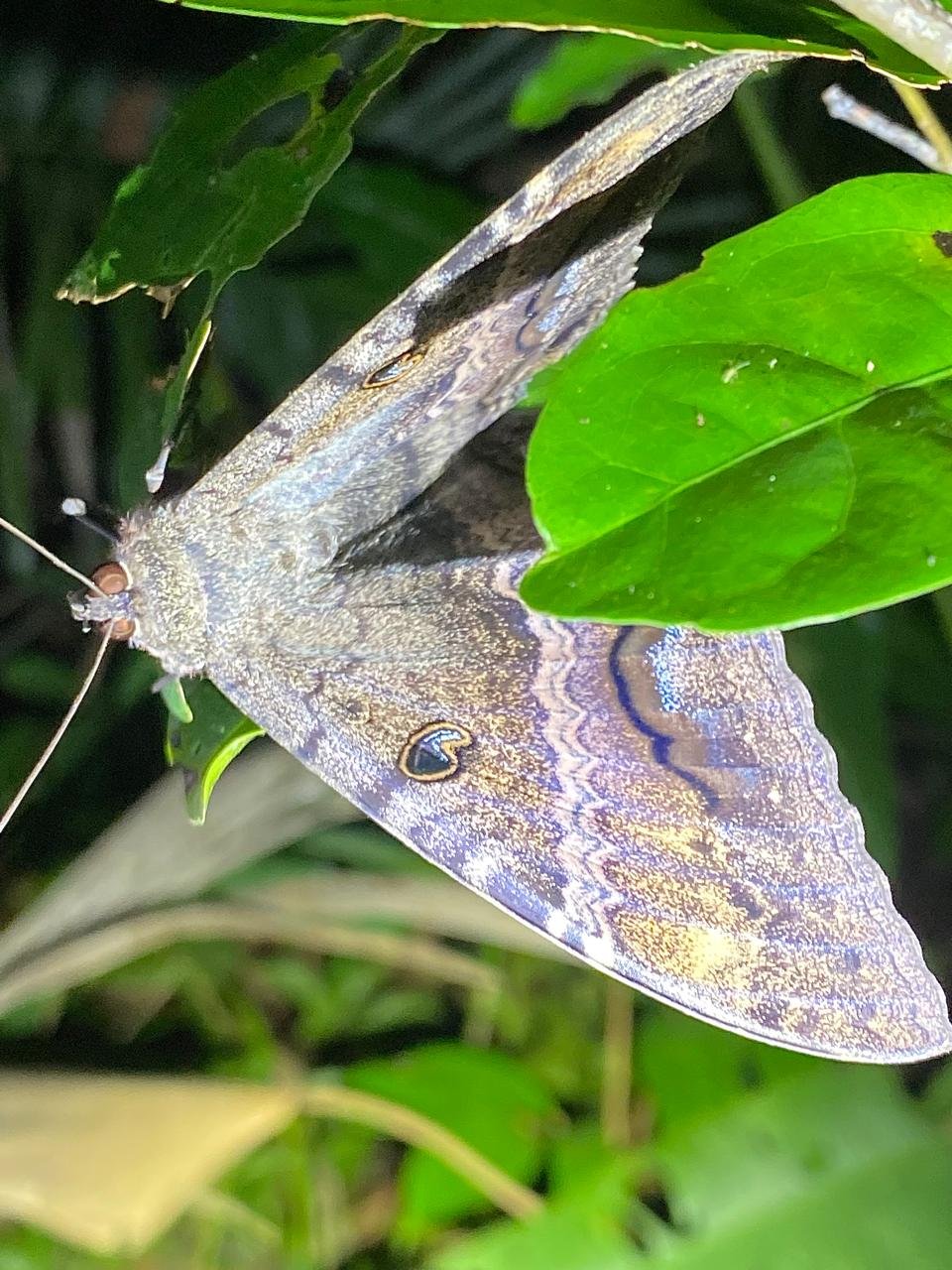 WhatsApp Image 2025-05-21 at 10.15.43 AM