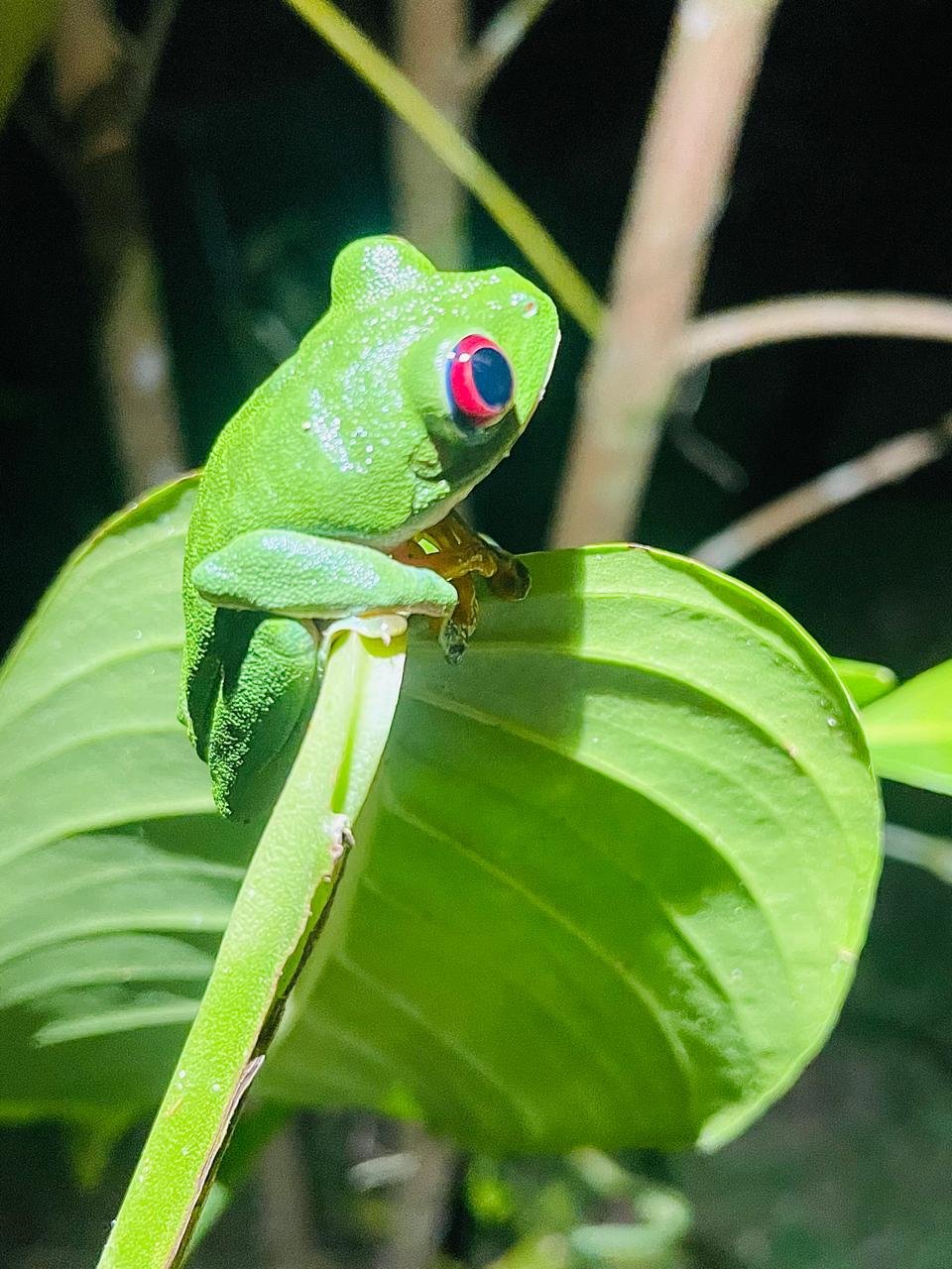 WhatsApp Image 2025-05-21 at 10.16.48 AM