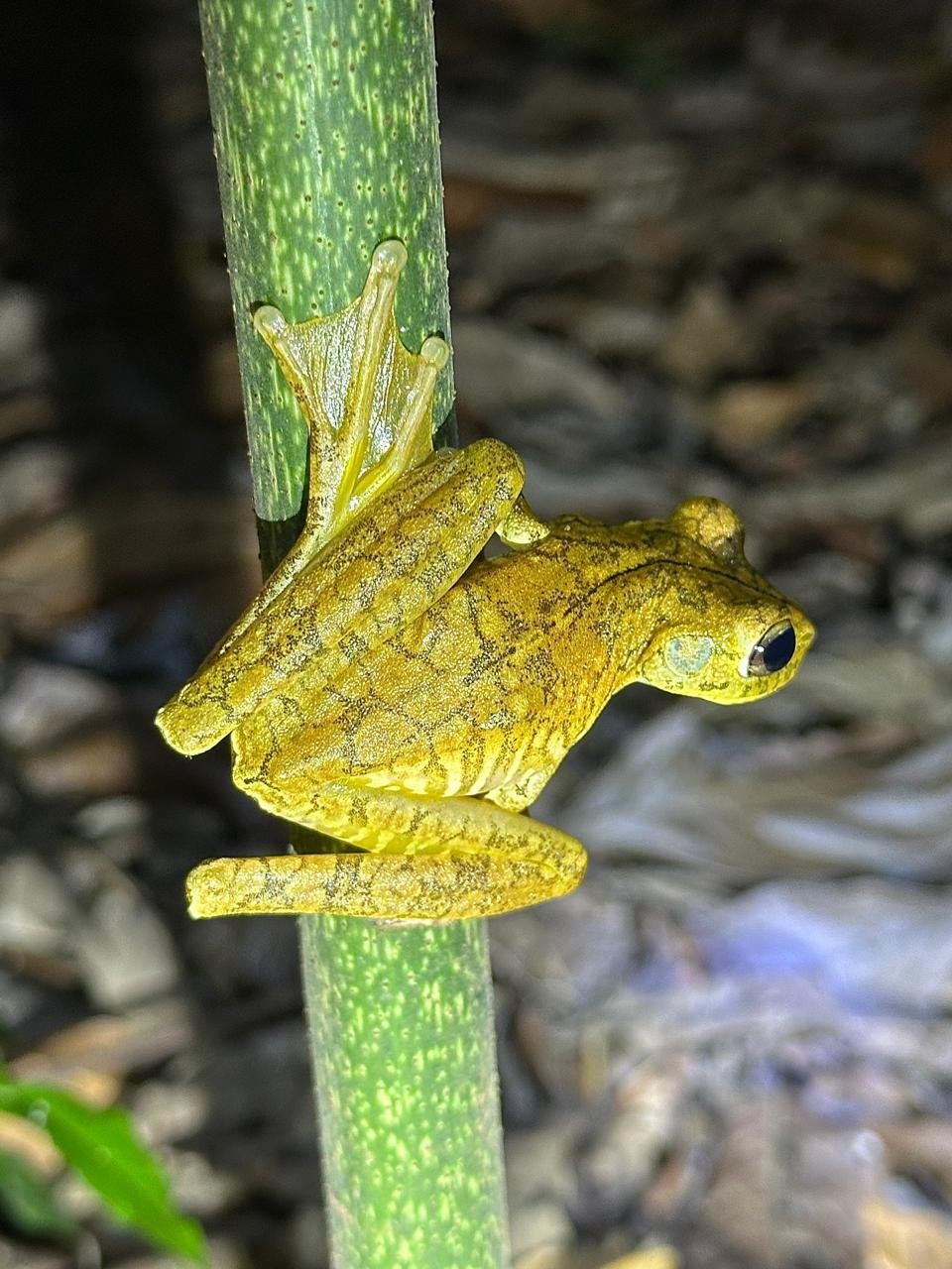 WhatsApp Image 2025-05-21 at 10.18.53 AM