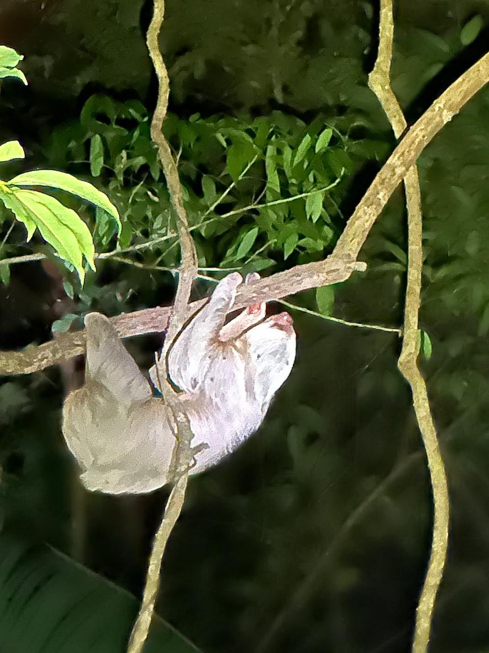 WhatsApp Image 2025-05-21 at 10.20.29 AM