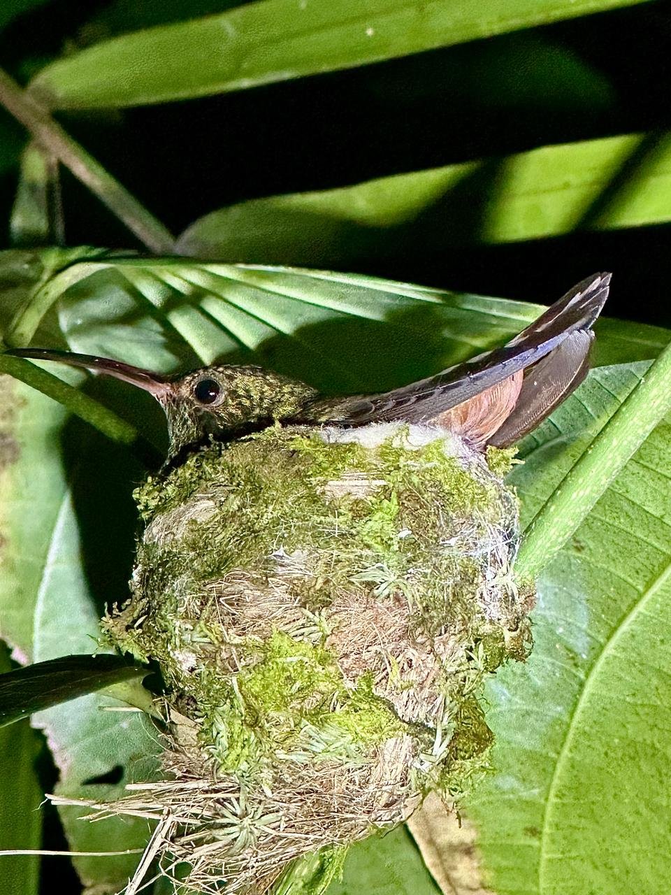 WhatsApp Image 2025-05-21 at 10.21.18 AM