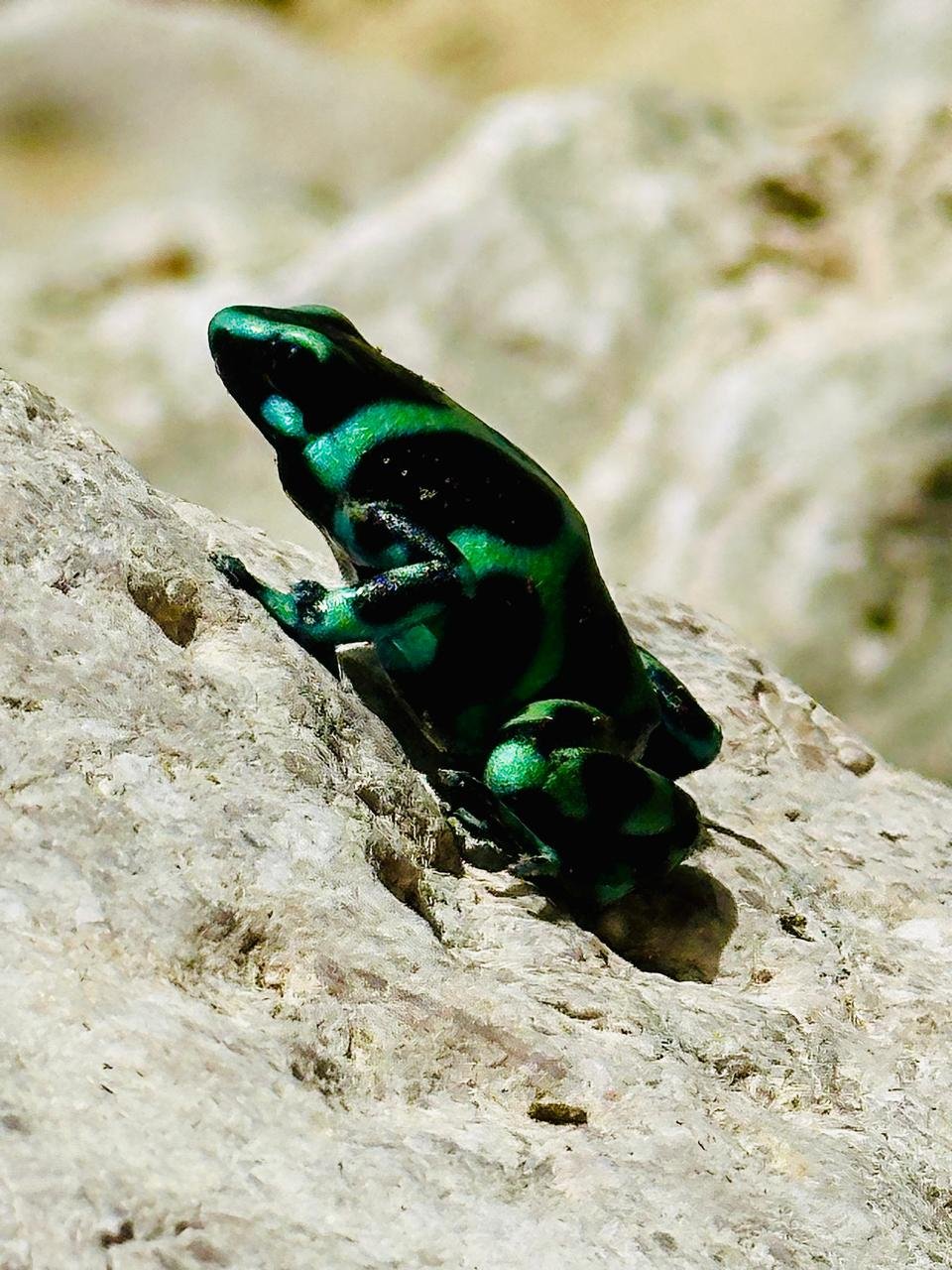 WhatsApp Image 2025-05-21 at 10.23.23 AM