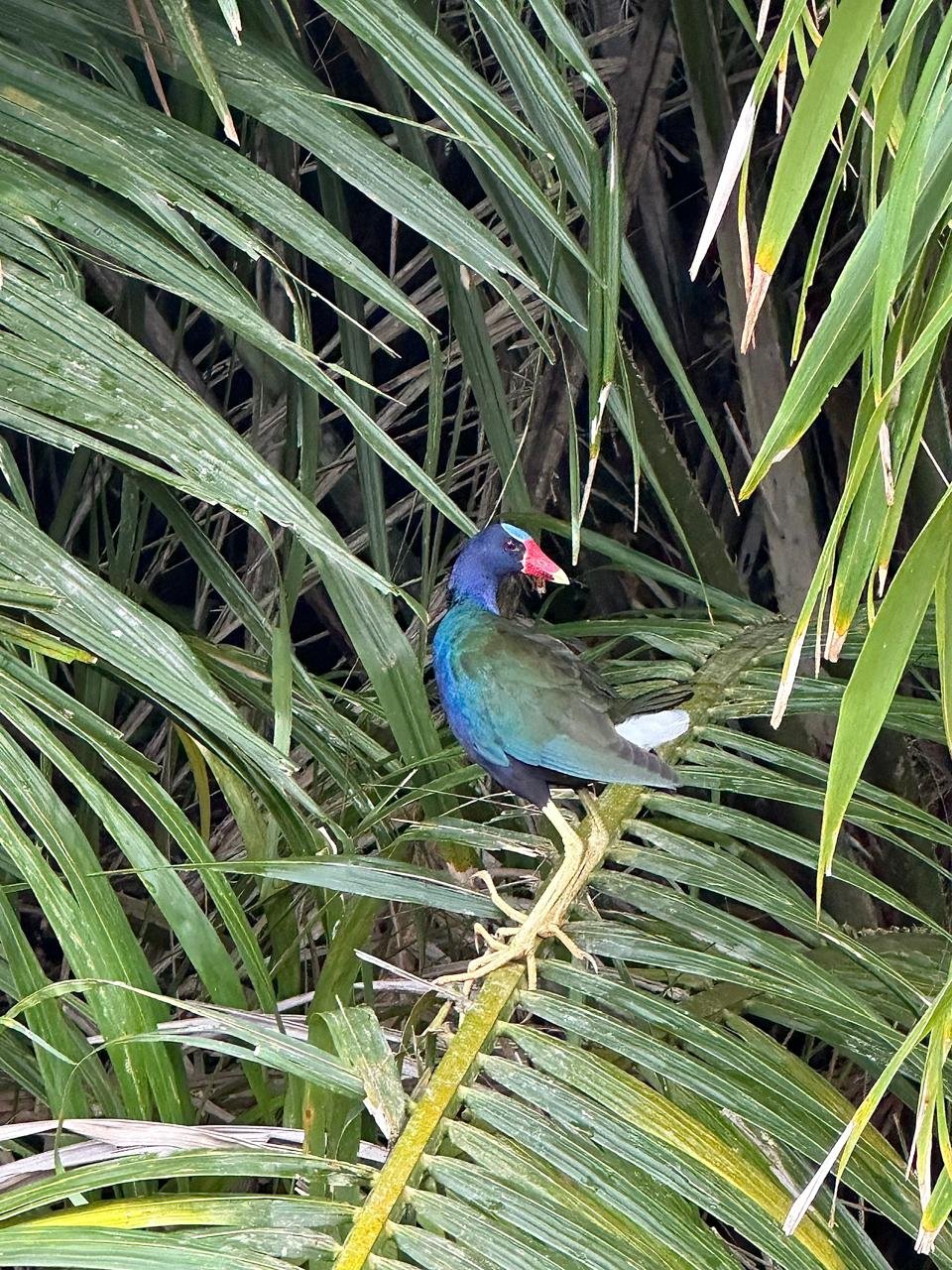 WhatsApp Image 2025-05-21 at 10.42.06 AM