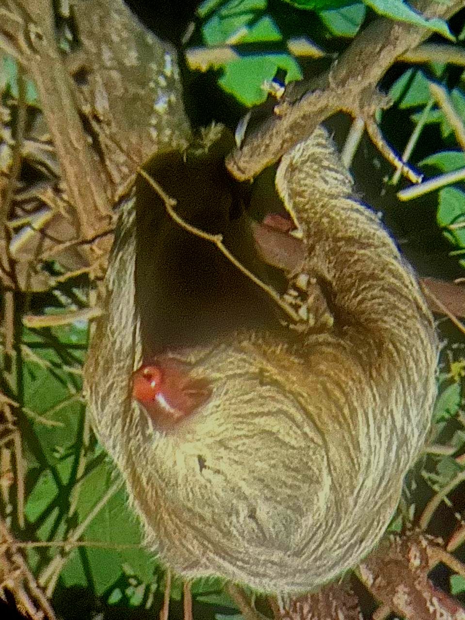 WhatsApp Image 2025-05-21 at 10.43.02 AM