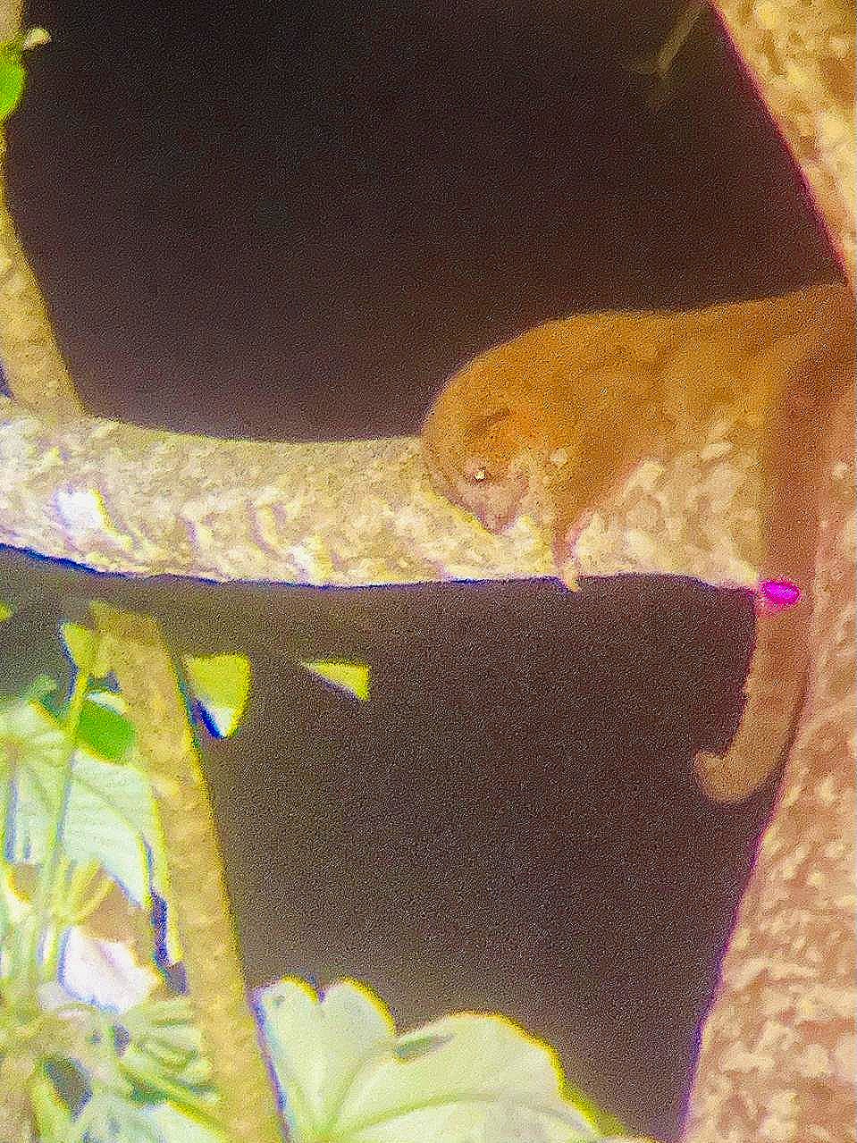 WhatsApp Image 2025-05-21 at 10.44.45 AM