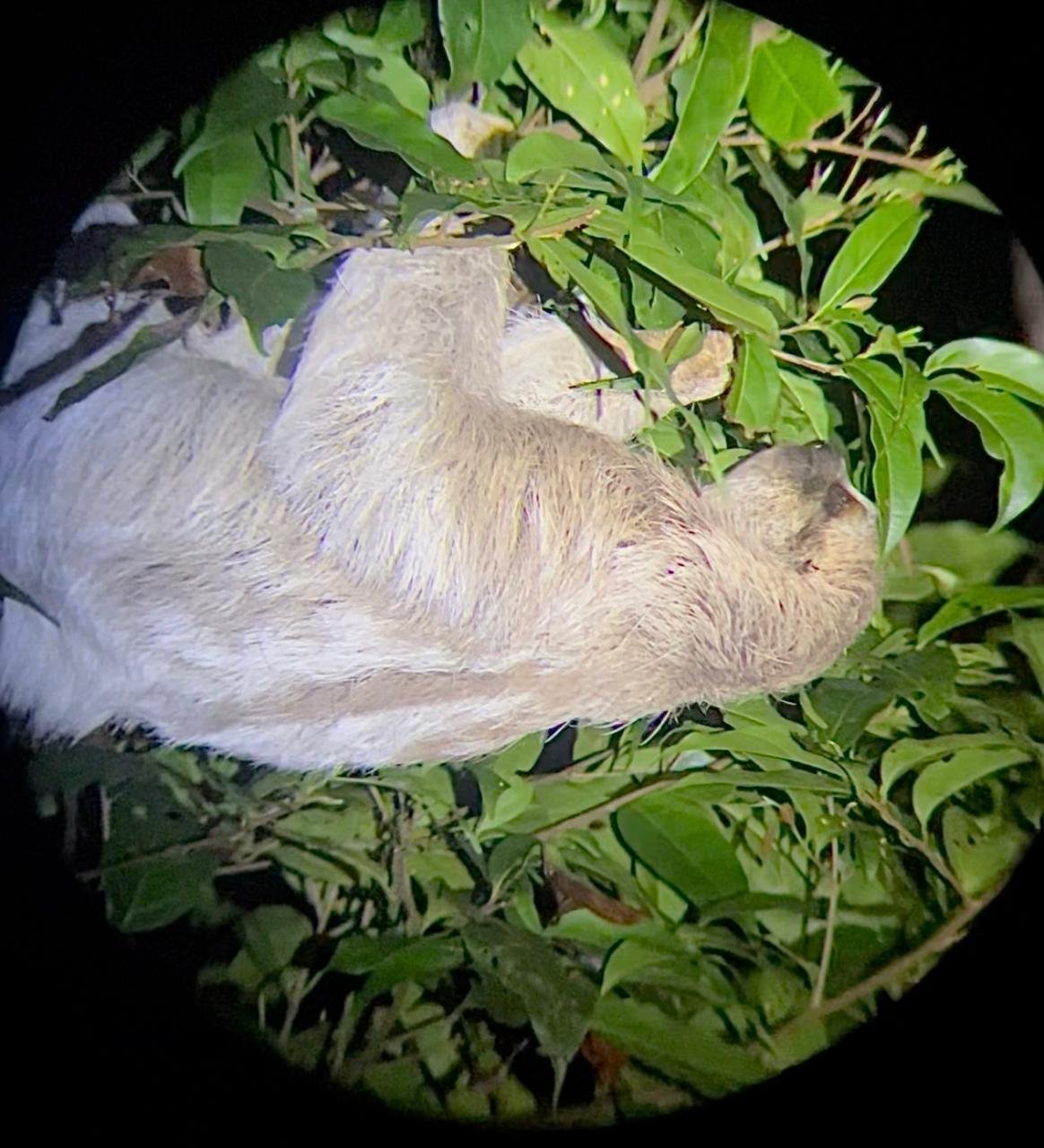 WhatsApp Image 2025-05-21 at 11.11.16 AM