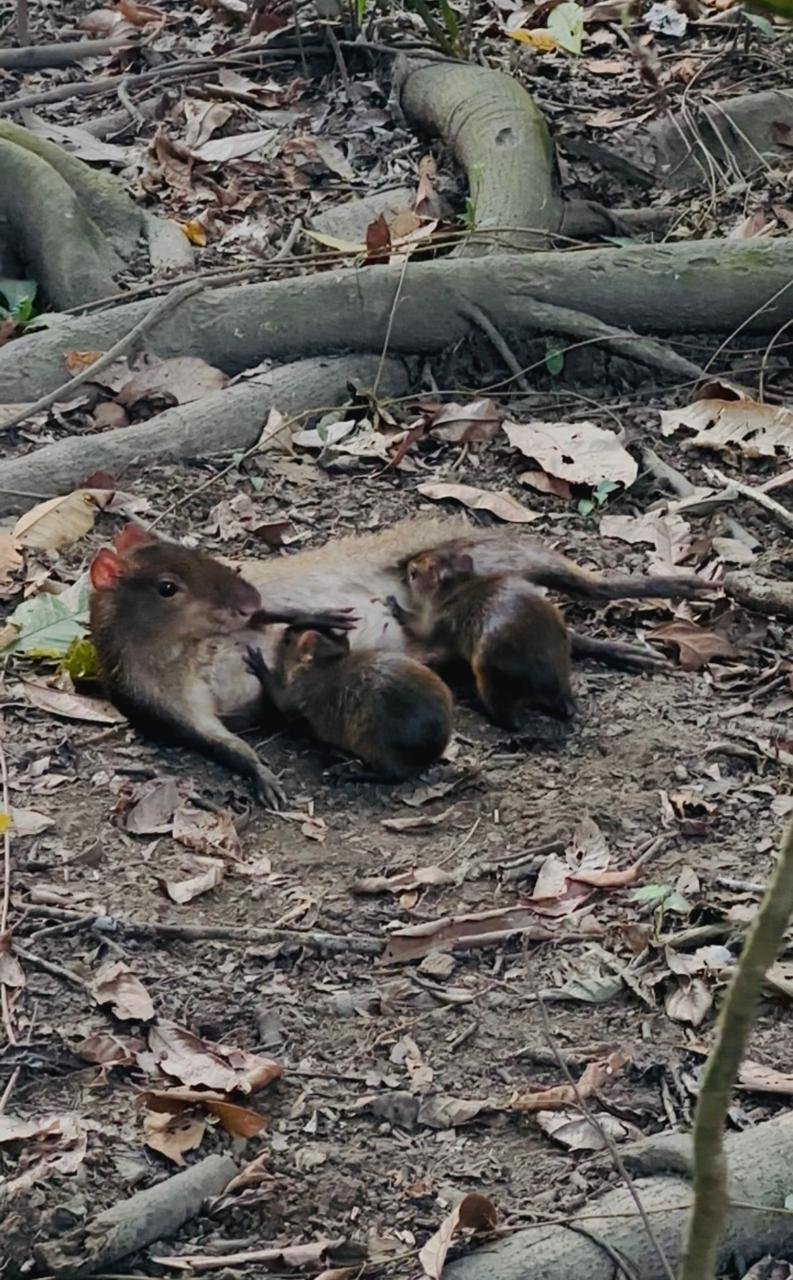 WhatsApp Image 2025-05-21 at 11.13.10 AM