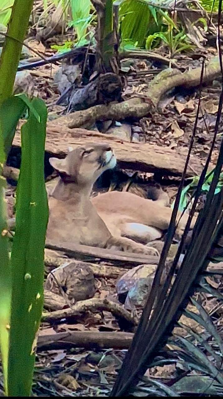 WhatsApp Image 2025-05-21 at 11.14.01 AM