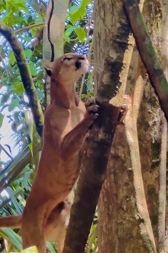 WhatsApp Image 2025-05-21 at 11.14.38 AM