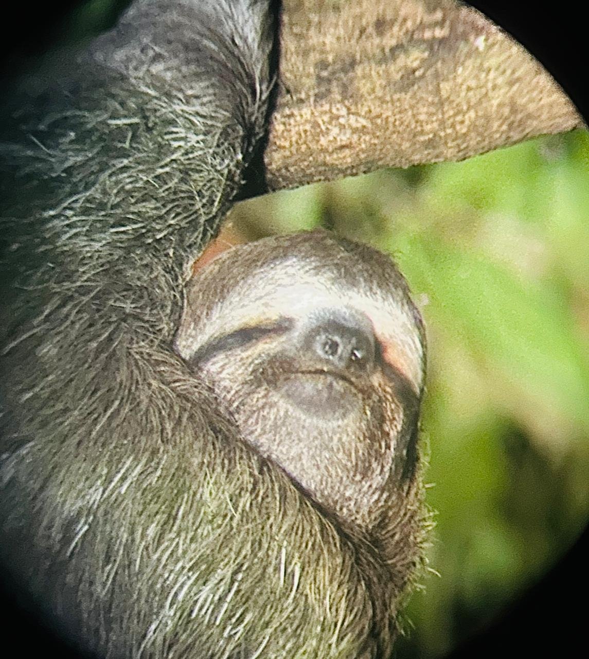 WhatsApp Image 2025-05-21 at 11.16.40 AM