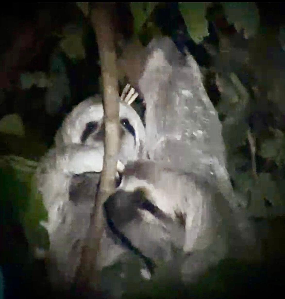 WhatsApp Image 2025-05-21 at 11.17.15 AM