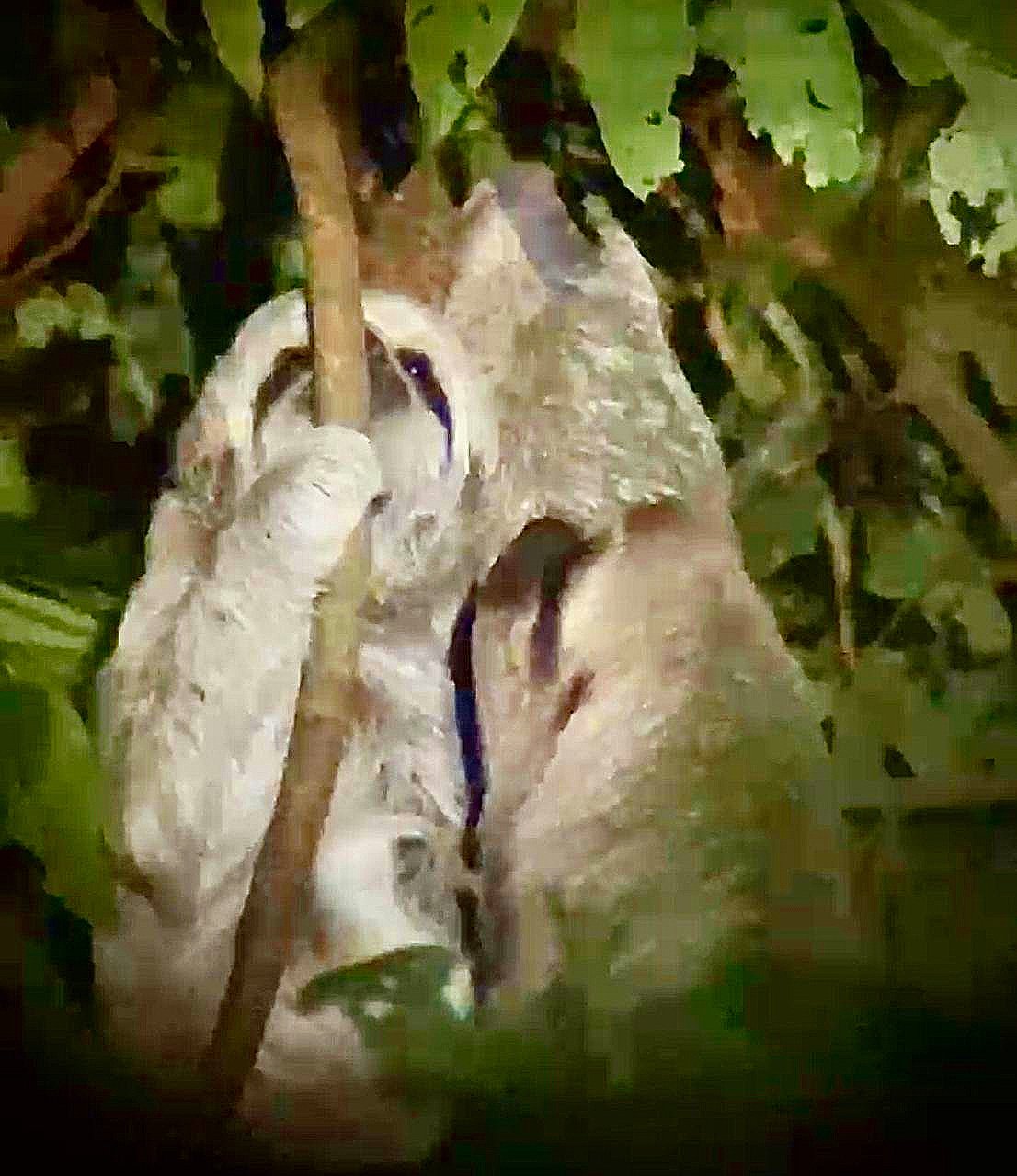 WhatsApp Image 2025-05-21 at 11.17.41 AM