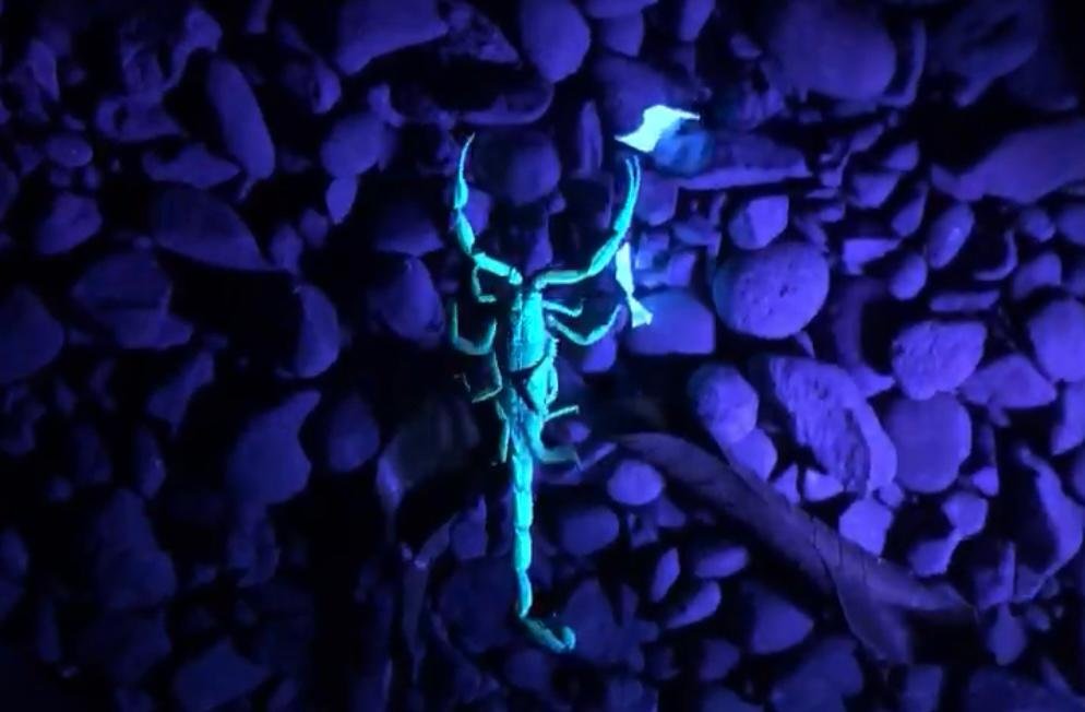 WhatsApp Image 2025-05-21 at 11.21.40 AM