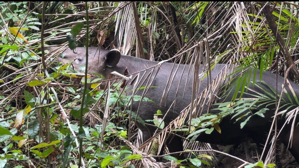 WhatsApp Image 2025-05-21 at 12.00.21 PM