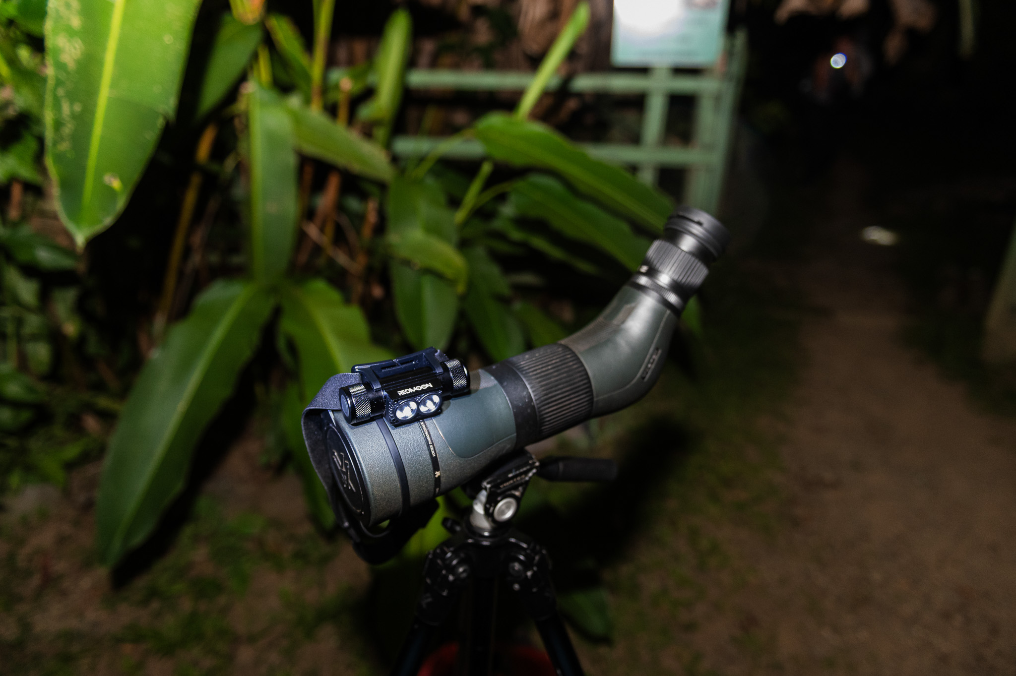 Spotting scope with red night light set up on a rainforest trail - Rainforest After Dark night tour, Costa Rica